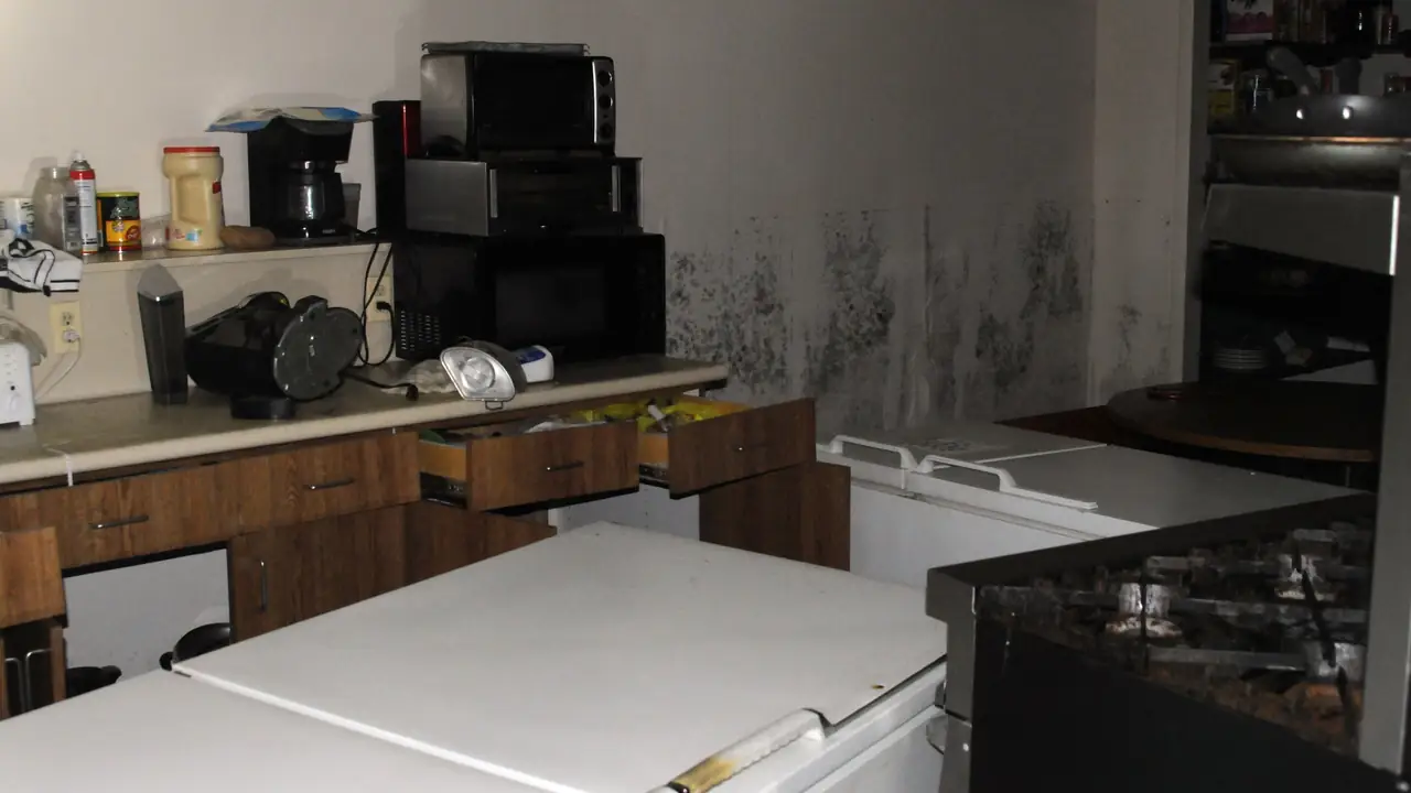 Mold on a wall above water-damaged kitchen counters