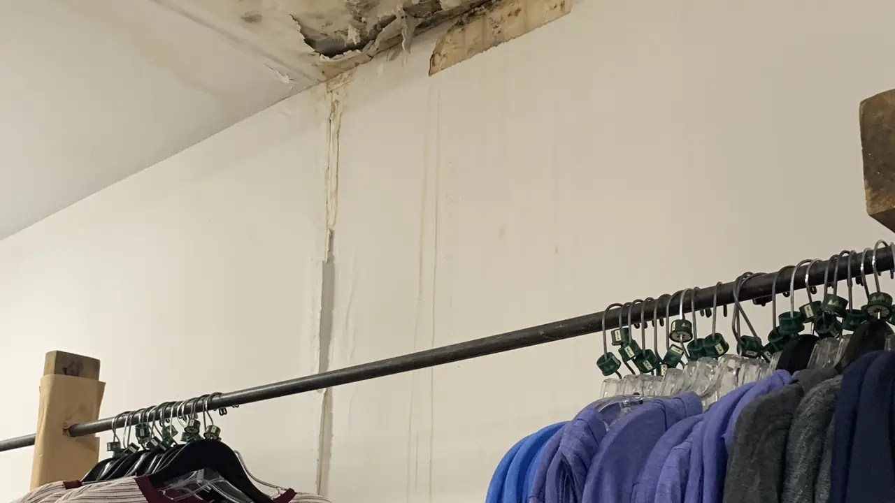 Water stain and mold spreading down a wall from a damaged ceiling
