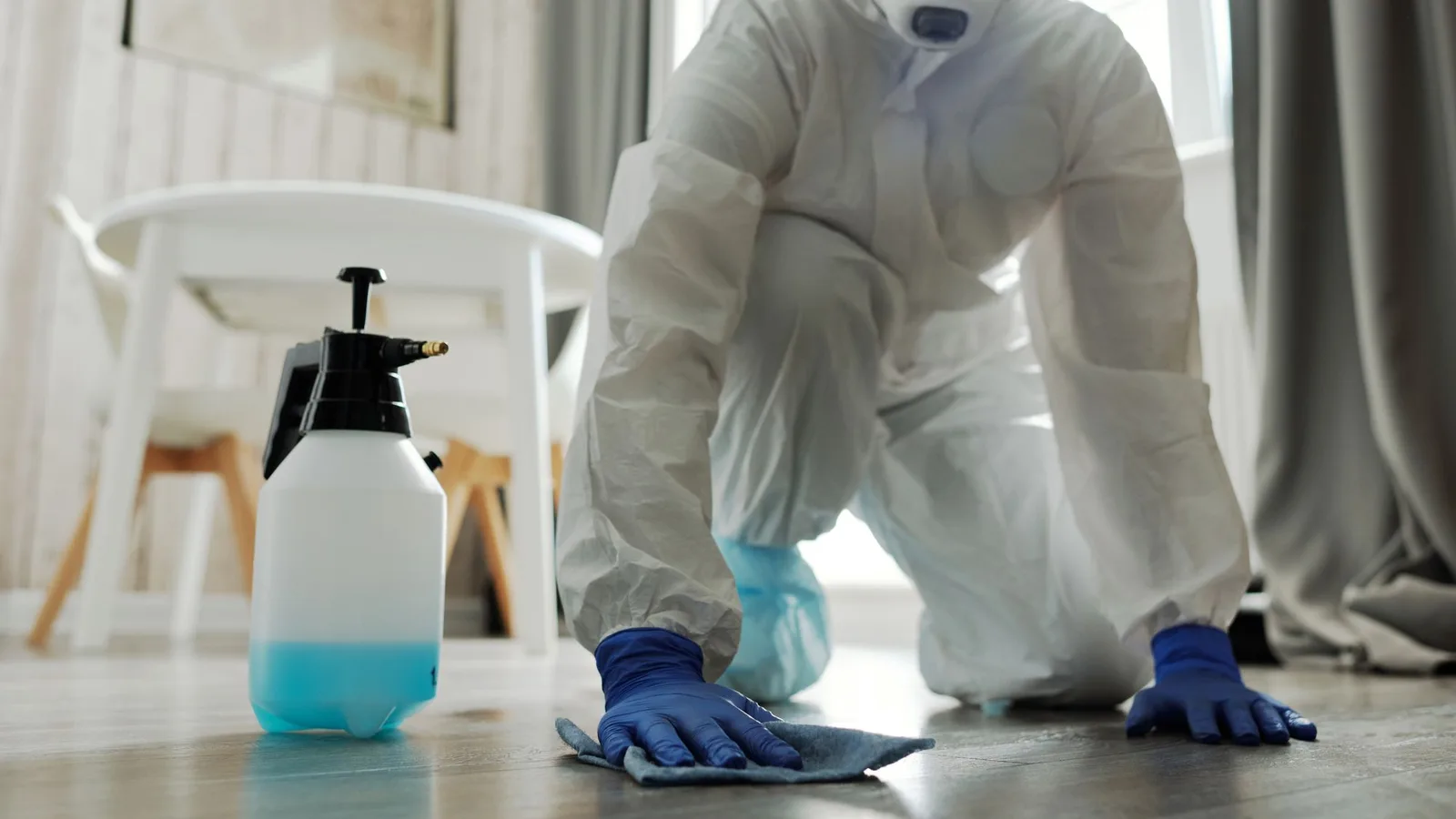 How to choose a water damage restoration company and check a CSLB license