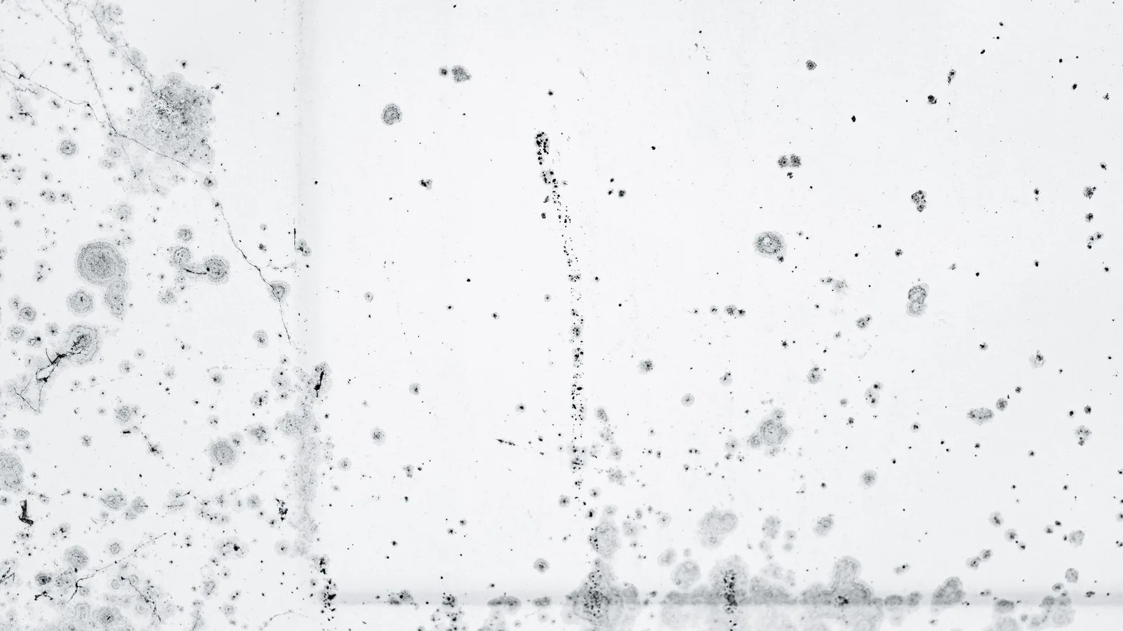 Mold remediation in Sacramento, CA